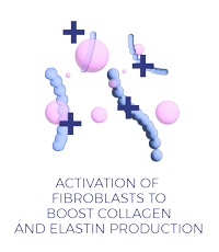 boost collagene and elastin production
